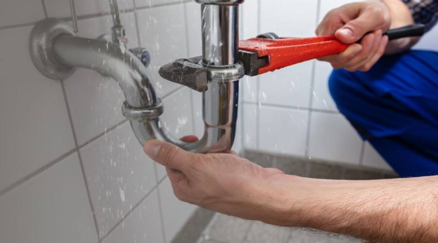 Professional Leak Detection services in Scroggins, TX